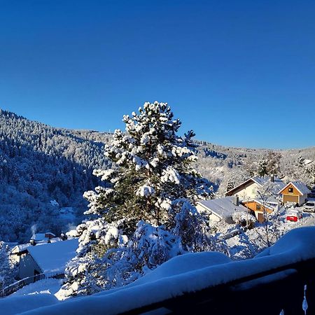 Grosse Ferienwohnung In Ruhiger Lage Mit Toller Aussicht In Triberg トリベルク エクステリア 写真