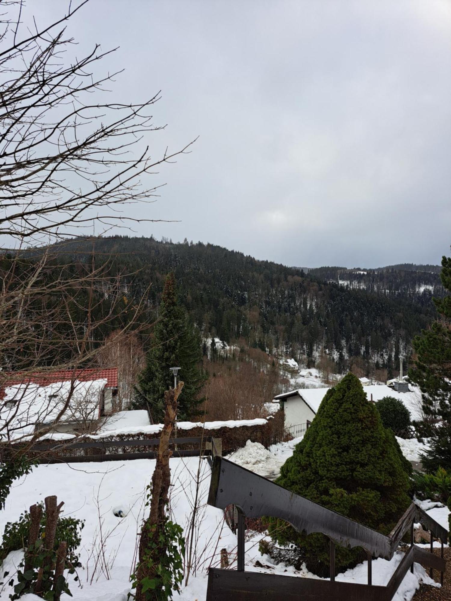 Grosse Ferienwohnung In Ruhiger Lage Mit Toller Aussicht In Triberg トリベルク エクステリア 写真