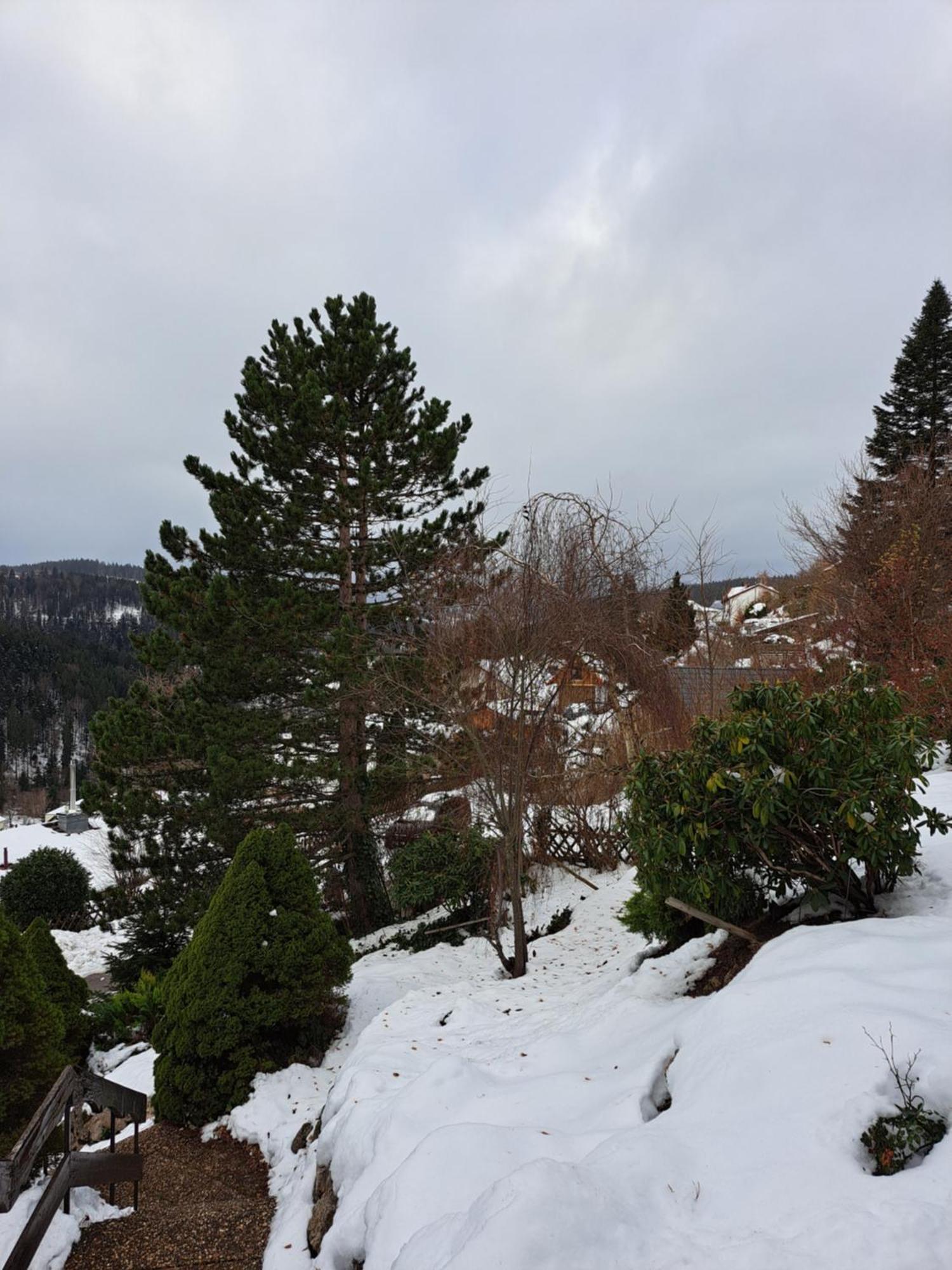 Grosse Ferienwohnung In Ruhiger Lage Mit Toller Aussicht In Triberg トリベルク エクステリア 写真
