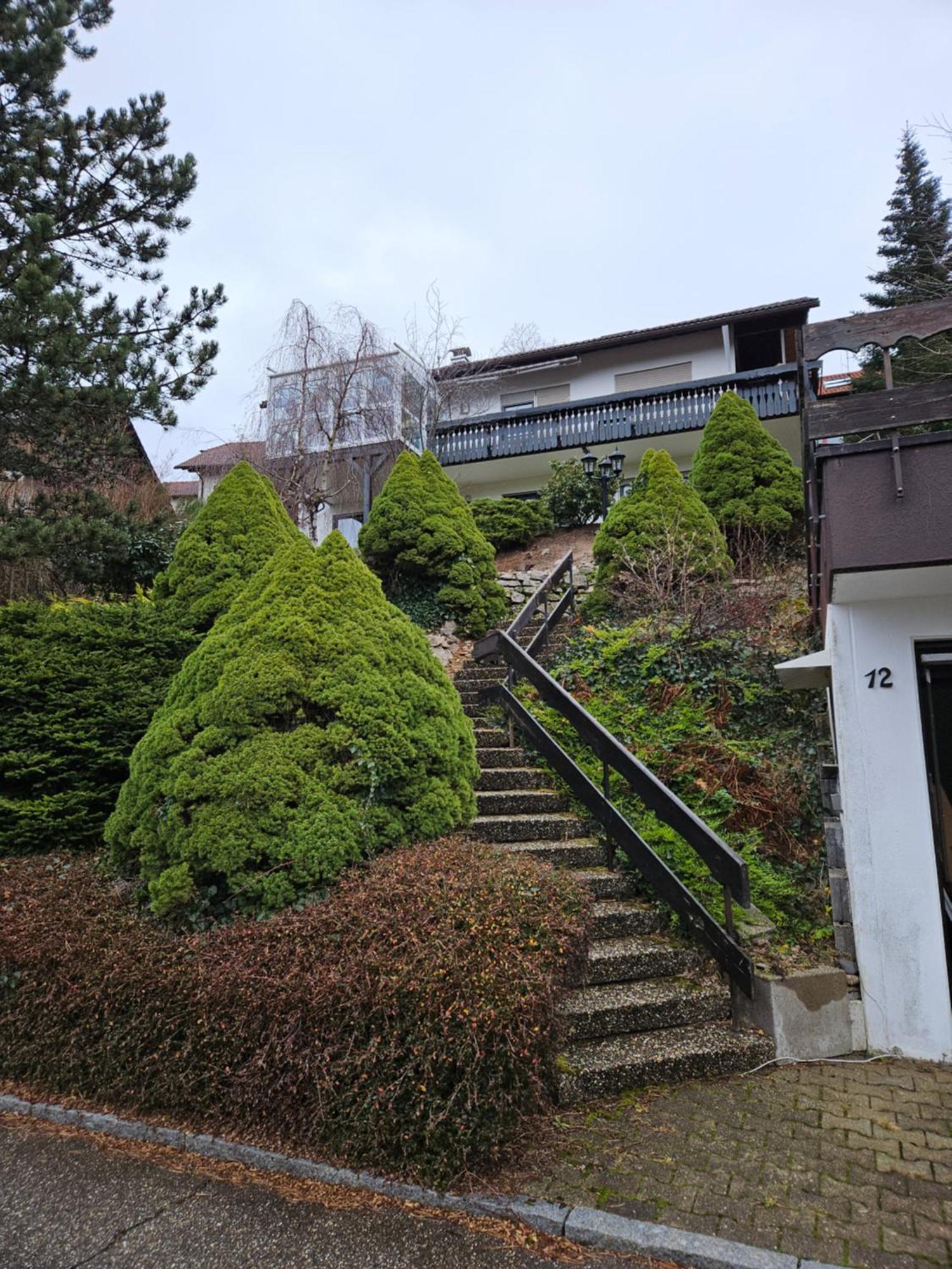 Grosse Ferienwohnung In Ruhiger Lage Mit Toller Aussicht In Triberg トリベルク エクステリア 写真