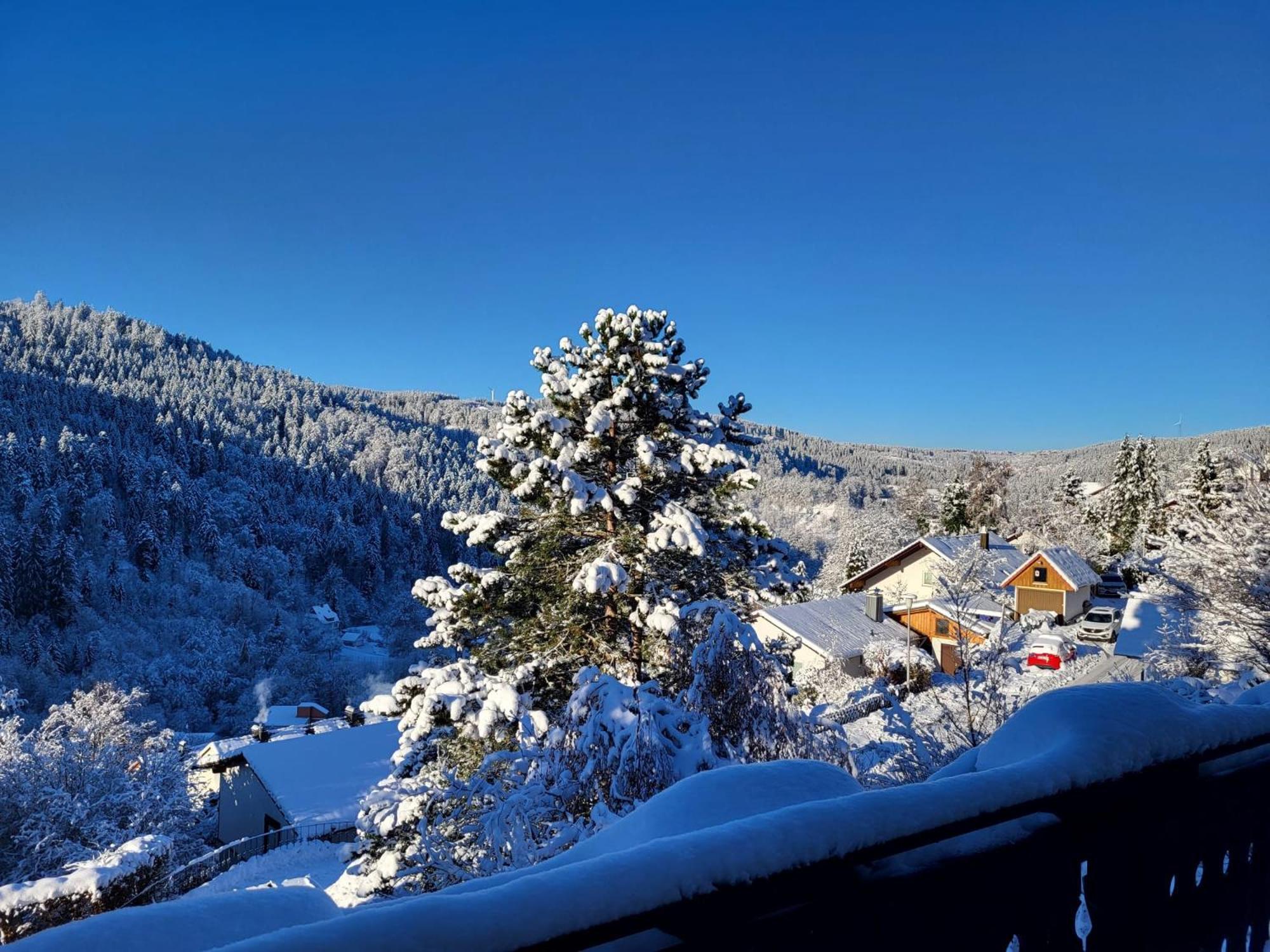 Grosse Ferienwohnung In Ruhiger Lage Mit Toller Aussicht In Triberg トリベルク エクステリア 写真